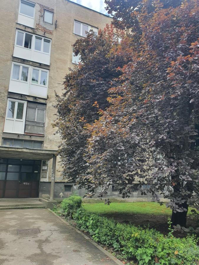 Charm * Sarajevo